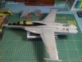 Hasegawa 1/48 F/A-18F Super Hornet VFA-103 - Touchdown