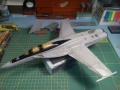 Hasegawa 1/48 F/A-18F Super Hornet VFA-103 - Touchdown