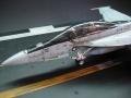 Hasegawa 1/48 F/A-18F Super Hornet VFA-103 - Touchdown