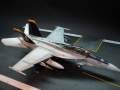 Hasegawa 1/48 F/A-18F Super Hornet VFA-103 - Touchdown