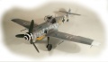 Hasegawa 1/32 Bf109G-4