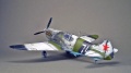 ICM 1/48 -3 -     