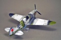 ICM 1/48 -3 -     