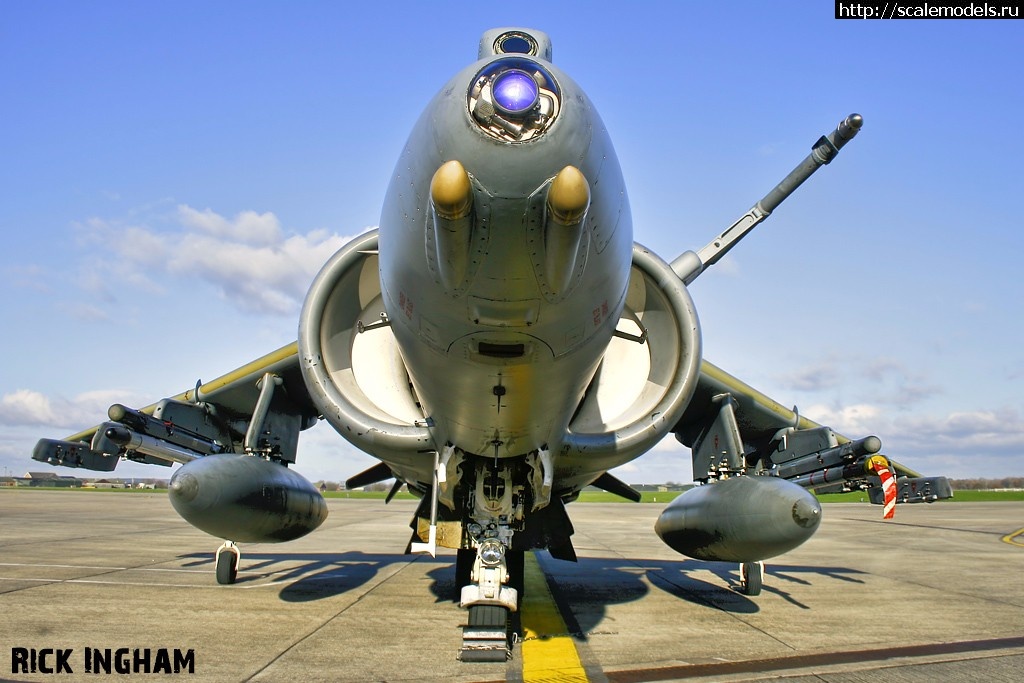 1500049384_4.jpg : #1396604/ Harrier GR Mk.7 Hasegawa, 1\48  