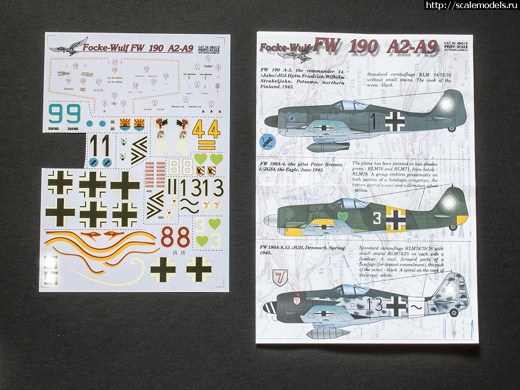 1501323623_DSC_0535.jpg :   FW-190A (1/48)  