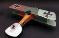 Roden 1/32 Albatros D.III Verner Voss