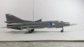 Trumpeter 1/48 -23 -      .