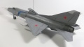 Trumpeter 1/48 -23 -      .