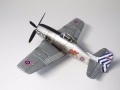 Novo 1/72 F8F-1 Bearcat - Novo  