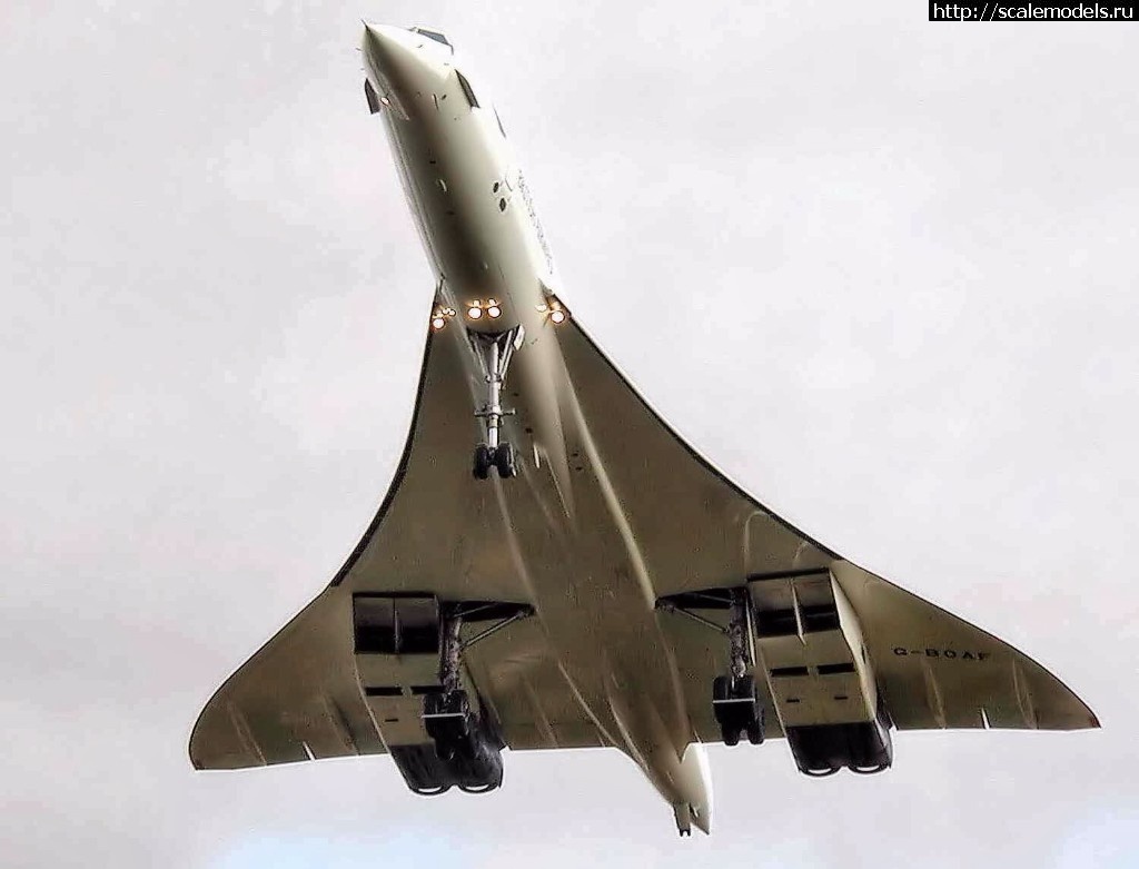 1504171566_1111Concorde-planview-arp.jpg : #1410304/ Concorde Revell 1/72     