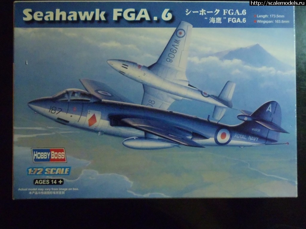 1504207443_P9010077.JPG : Hawker Sea Hawk FGA.6     1:72 HobbyBoss   .   