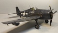 Eduard 1/48 F6F-5N Hellcat - 