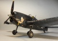 Eduard 1/48 F6F-5N Hellcat - 