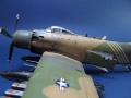 Tamiya 1/48 A-1J Skyraider