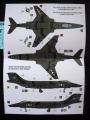  Valom 1/72 F-101  RF-101 Voodoo