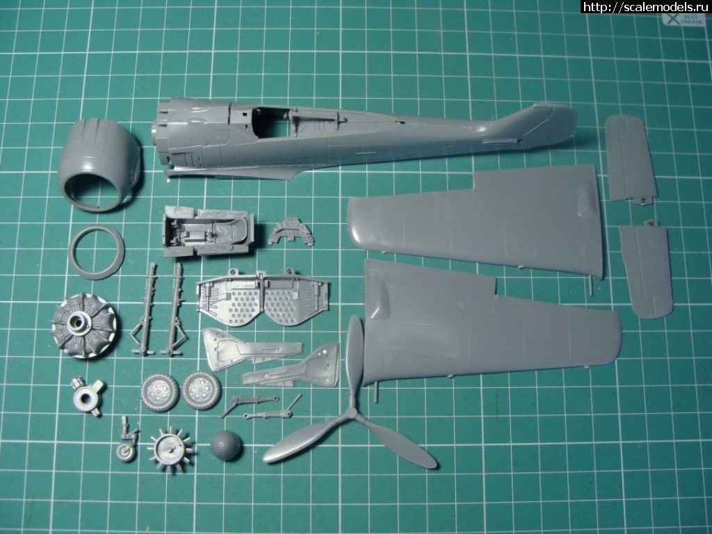 1505117289_DSC02261.JPG : Tamiya 1/48 Fw 190A-3 -   