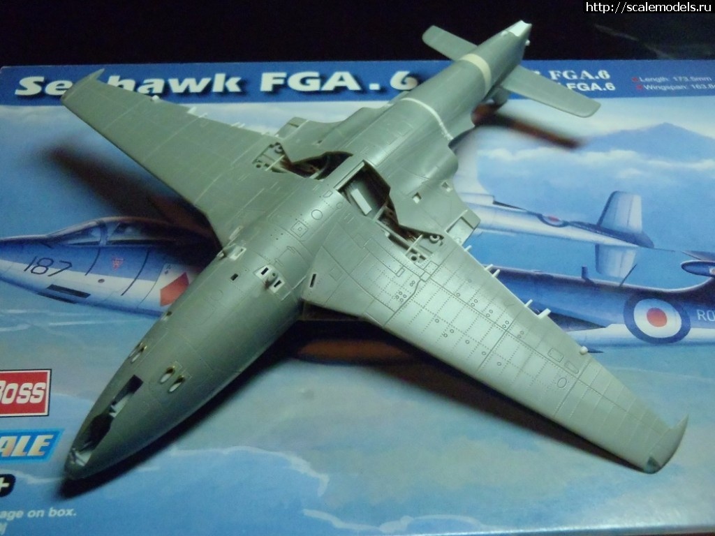 1506275755_P9250067.JPG : #1416991/ Hawker Sea Hawk FGA.6     1:72 HobbyBoss   .   