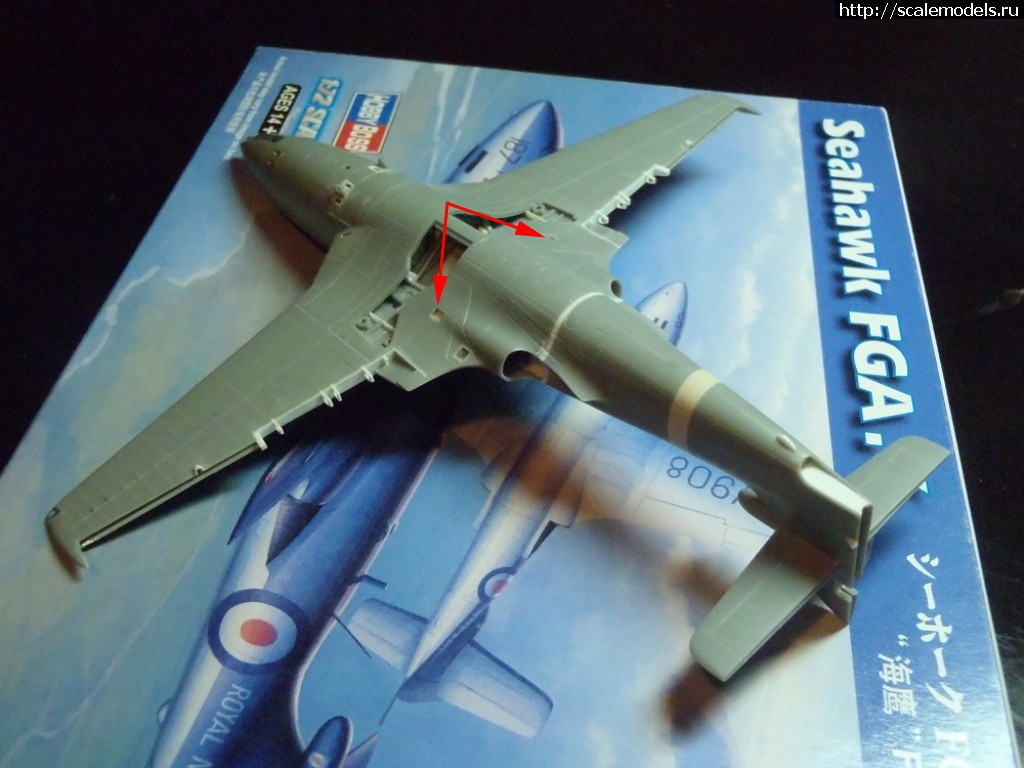 1506360002_1506275761_P9250068.JPG : #1417295/ Hawker Sea Hawk FGA.6     1:72 HobbyBoss   .   