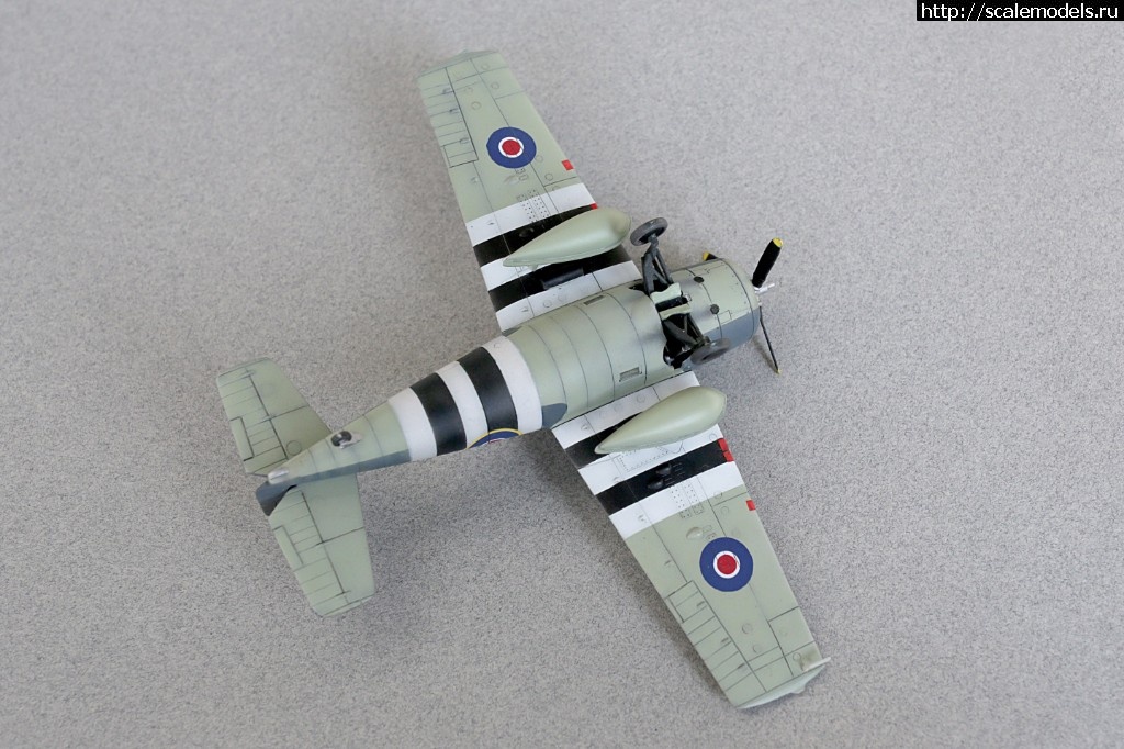 1506627148_235B7509.JPG : #1418205/ MARTLET V (F4F-4 Wildcat) Academy/Design   