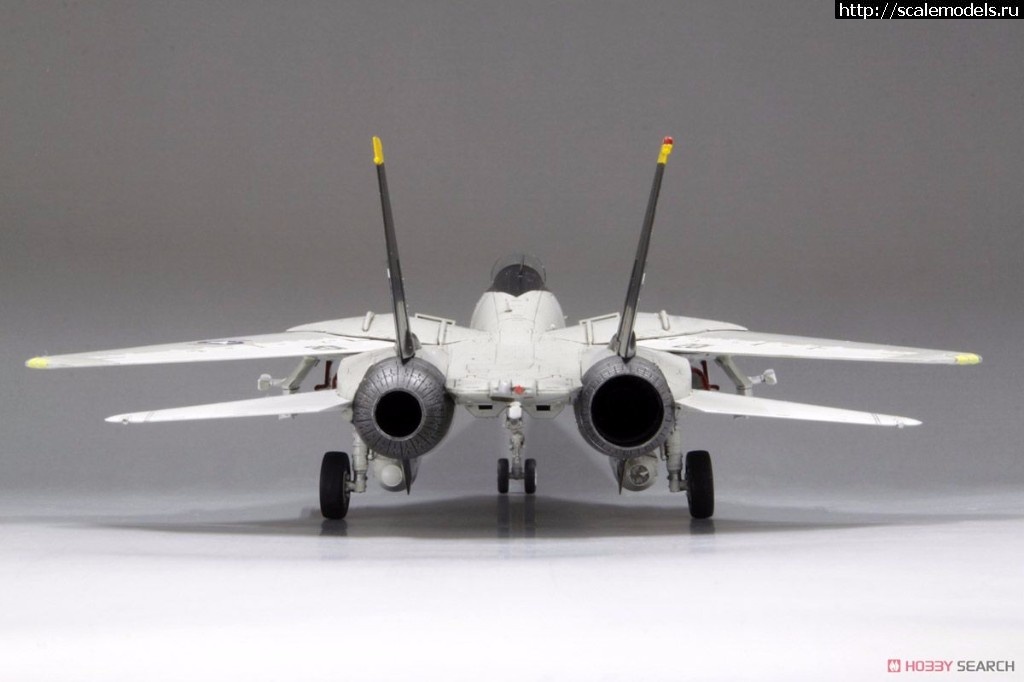 1506777655_10486938a6.jpg :  Fine Molds 1/72 Grumman F-14A Tomcat  