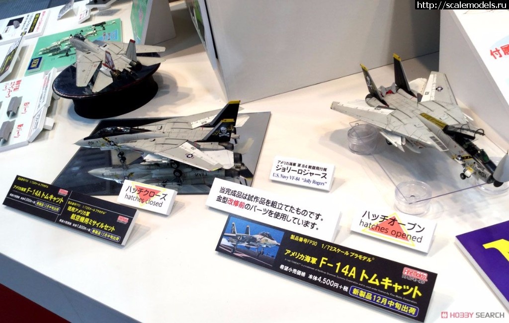 1506777657_10486938b3.jpg :  Fine Molds 1/72 Grumman F-14A Tomcat  