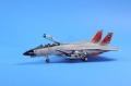 HobbyBoss 1/72 F-14D Super Tomcat