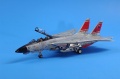 HobbyBoss 1/72 F-14D Super Tomcat