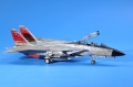 HobbyBoss 1/72 F-14D Super Tomcat