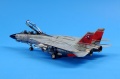 HobbyBoss 1/72 F-14D Super Tomcat