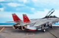 HobbyBoss 1/72 F-14D Super Tomcat