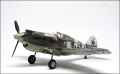 Bronco Models 1/48 P-40C Tomahawk  