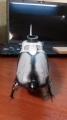 Revell 1/32 Eurocopter EC135 04644