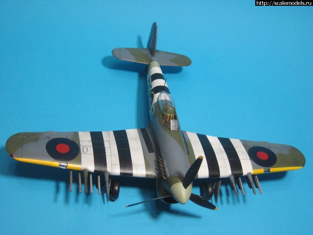 1506968351_IMG_8532.JPG : #1419580/ Typhoon Mk.Ib Hasegawa 1/48 !  