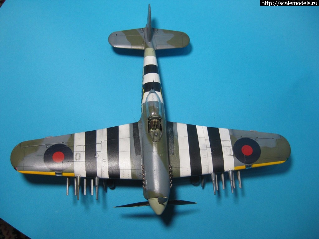 1506968379_IMG_8549.JPG : #1419580/ Typhoon Mk.Ib Hasegawa 1/48 !  