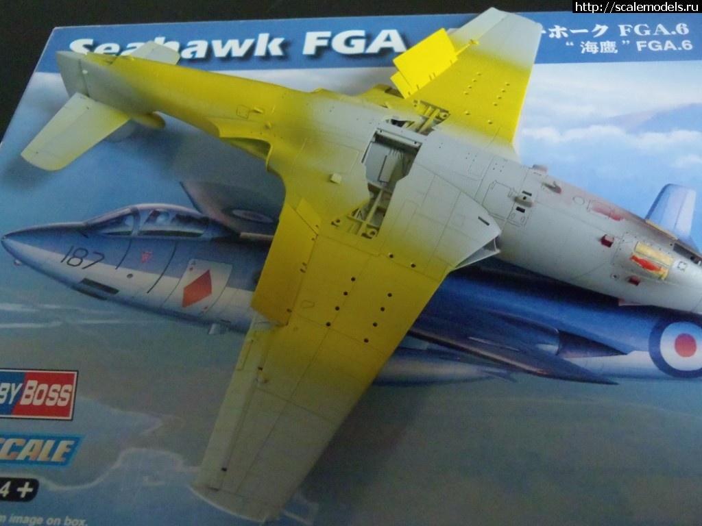 1508078186_PA140021.JPG : #1423137/ Hawker Sea Hawk FGA.6     1:72 HobbyBoss   .   