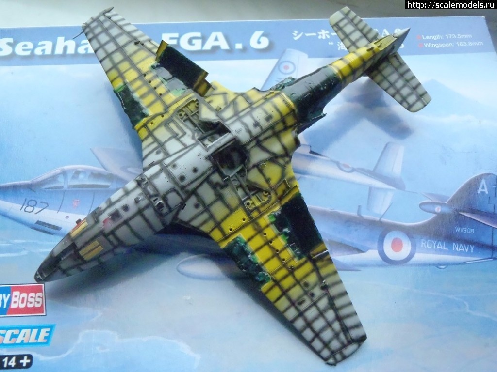 1508078198_PA150023.JPG : #1423137/ Hawker Sea Hawk FGA.6     1:72 HobbyBoss   .   