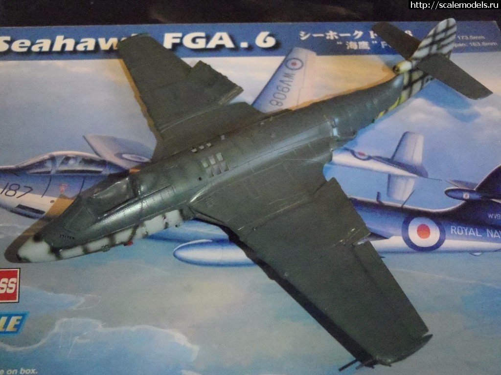 1508078275_PA150024.JPG : #1423137/ Hawker Sea Hawk FGA.6     1:72 HobbyBoss   .   