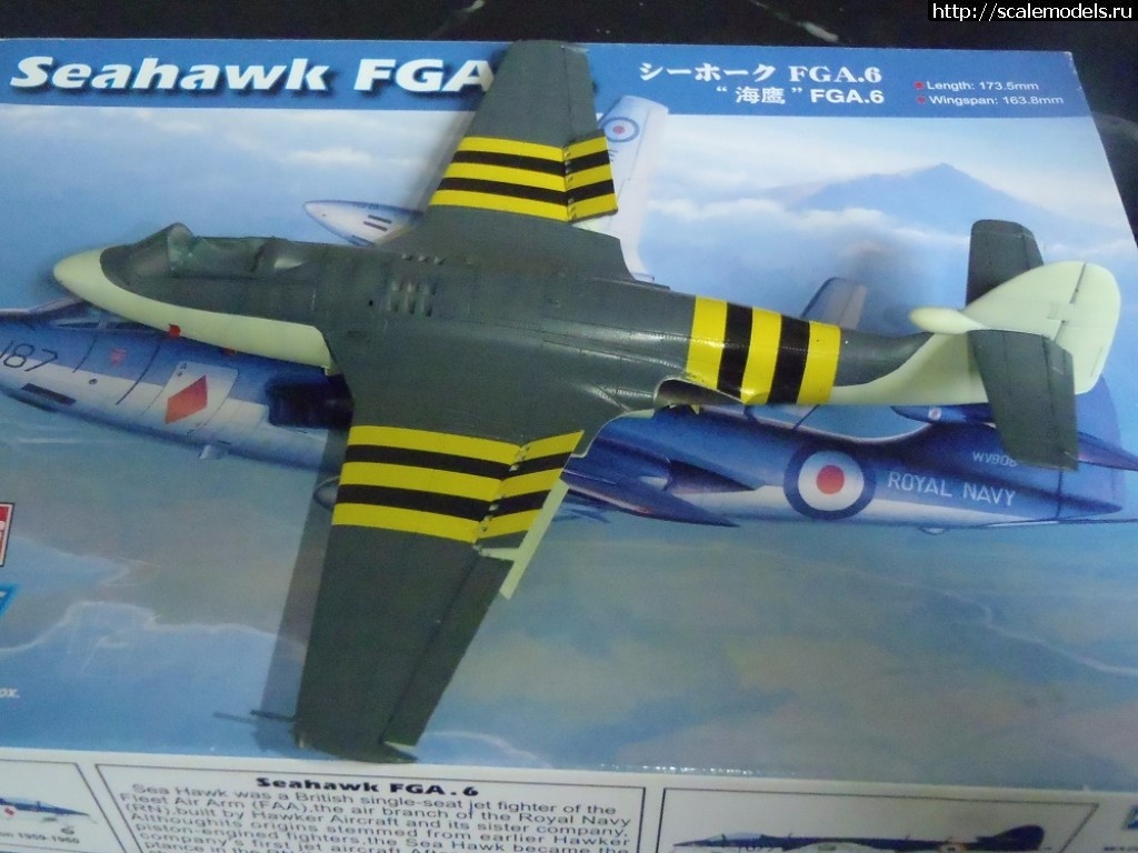 1508233763_PA170001.JPG : #1423617/ Hawker Sea Hawk FGA.6     1:72 HobbyBoss   .   