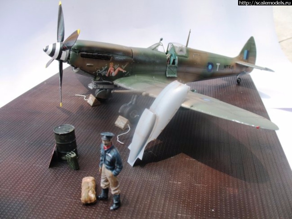 1508341914_11.jpg : #1423973/ Spitfire Mk. VIII "Pauline" Eduard 1/48  