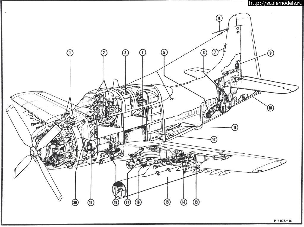 1508938374_AD-5N-Crop_zpsvtt3ceho.jpg : #1425949/ 1/48 Revell AD-5/A-1E  