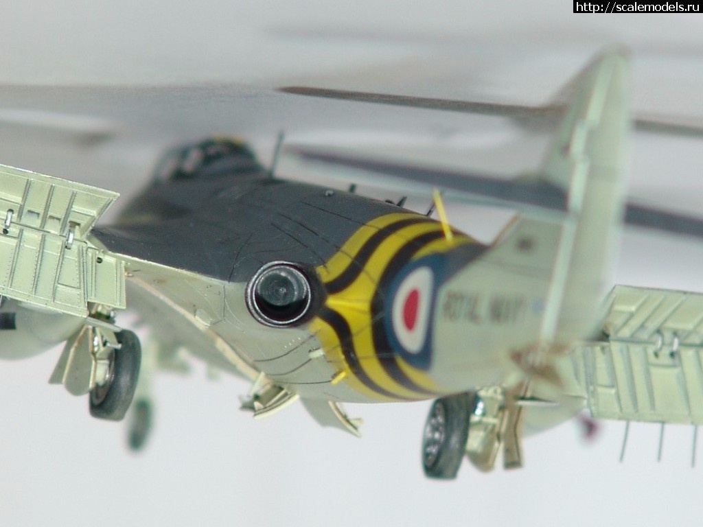 1508948142_DSC02752.JPG : #1425996/ Hawker Sea Hawk FGA.6     1:72 HobbyBoss   .   