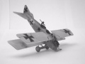 Airfix 1/72 Roland C.IIa -   Whaleficsh