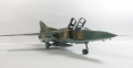 Trumpeter 1/48 -23    