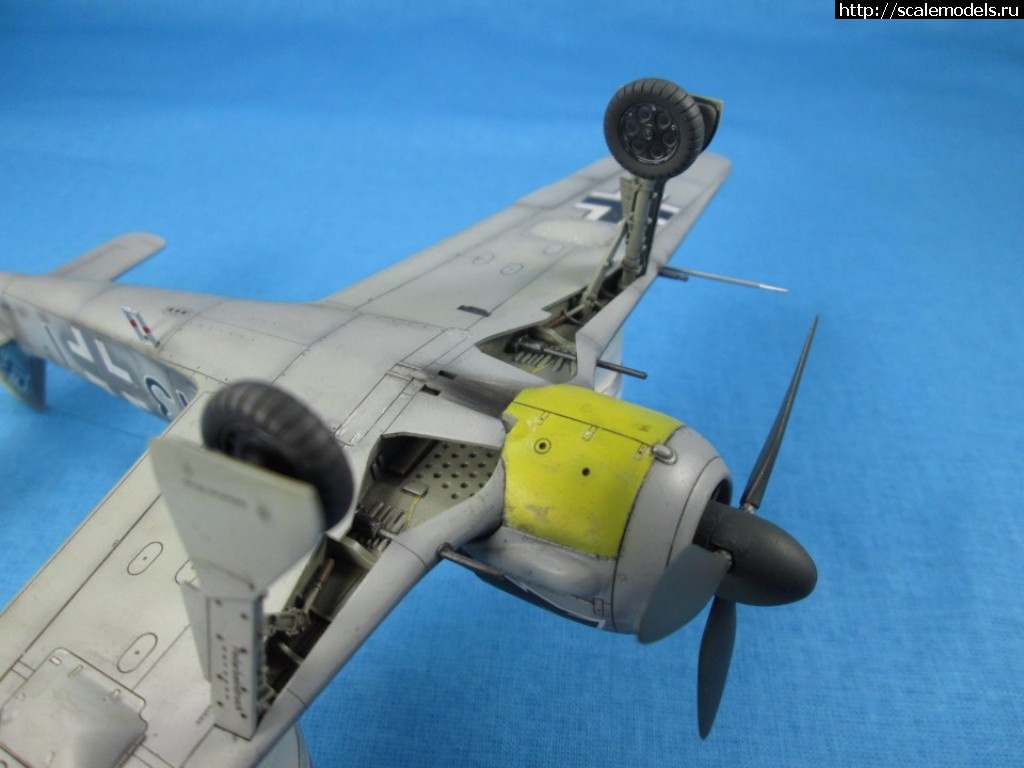 1509642154_IMG_3062.JPG : #1428233/ Tamiya 1/48 Fw 190A-3 -   