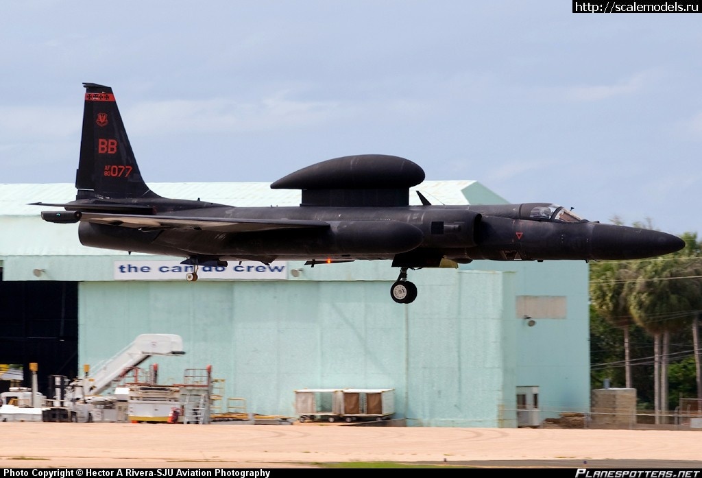 1510066090_80-1077-USAF-United-States-Air-Force-Lockheed-U-2-Dragon-Lady_PlanespottersNet_313931-1.jpg : #1429486/ Special Hobby 1/72 U-2R(#11544) -   