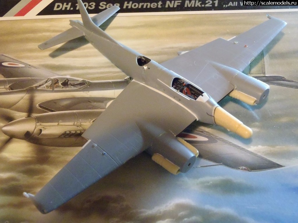 1511552438_PB250058.JPG : #1434386/ DH-103  Sea Hornet NF Mk.21  Special Hobby  1:72.  .  