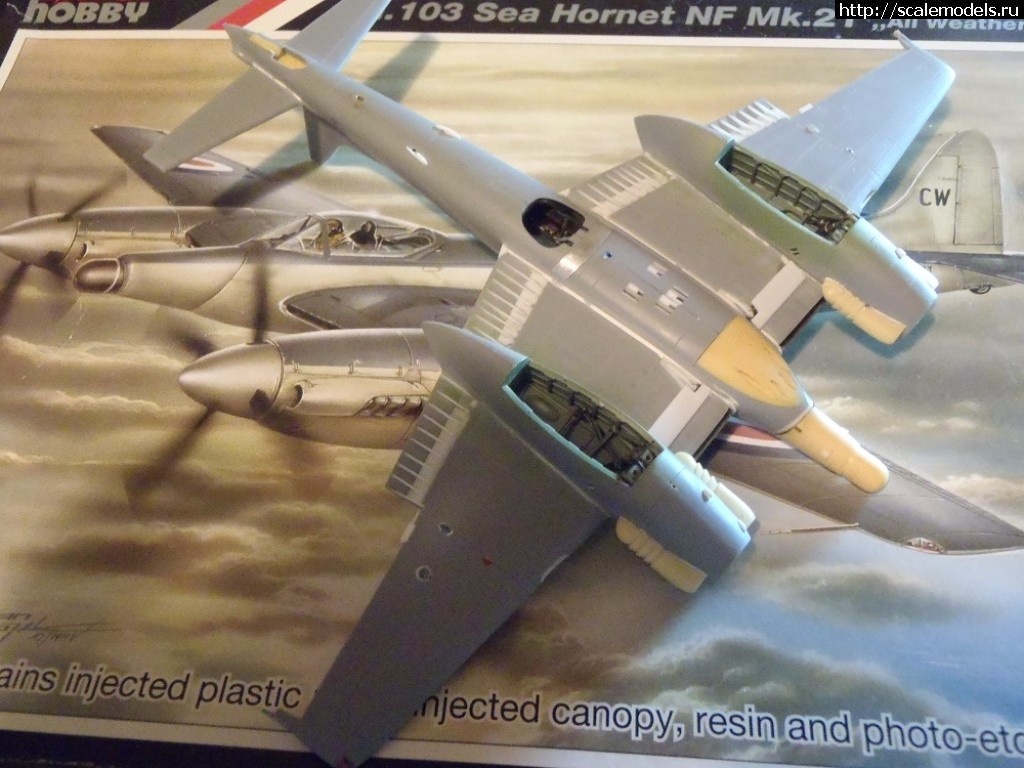 1511552457_PB250059.JPG : #1434386/ DH-103  Sea Hornet NF Mk.21  Special Hobby  1:72.  .  