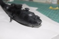 Academy 1/72 PBY-5A Catalina Black Cat