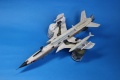 Monogram 1/72 F-105G Thunderchief