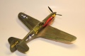 Hasegawa 1/48 -40N-5 Warhawk